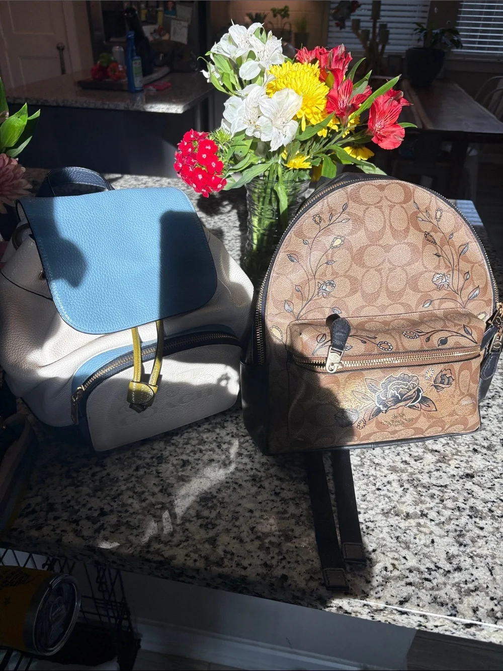 Coach Brown Signature Floral Mini Backpack with Gold Accents